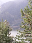 3.24.06 Dog Mountain 008 